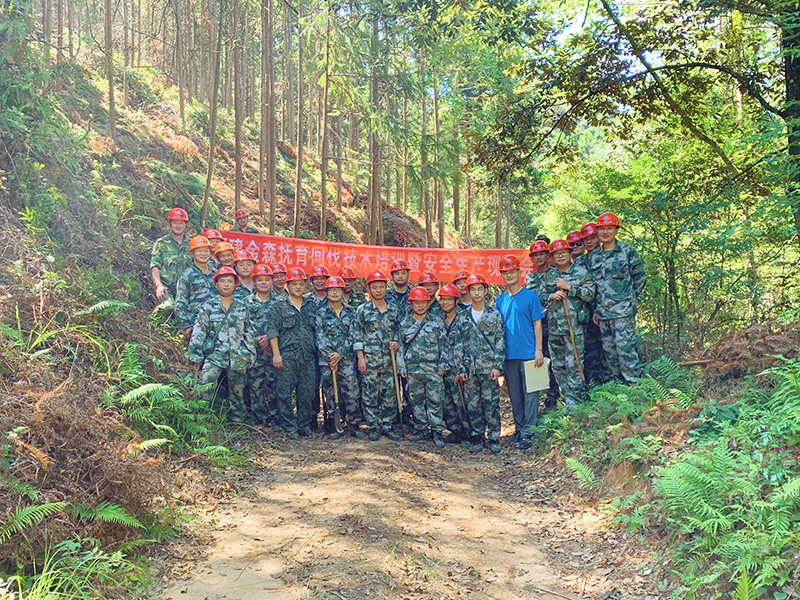 嚴把森林培育質(zhì)量關，譜寫資源培育新篇章