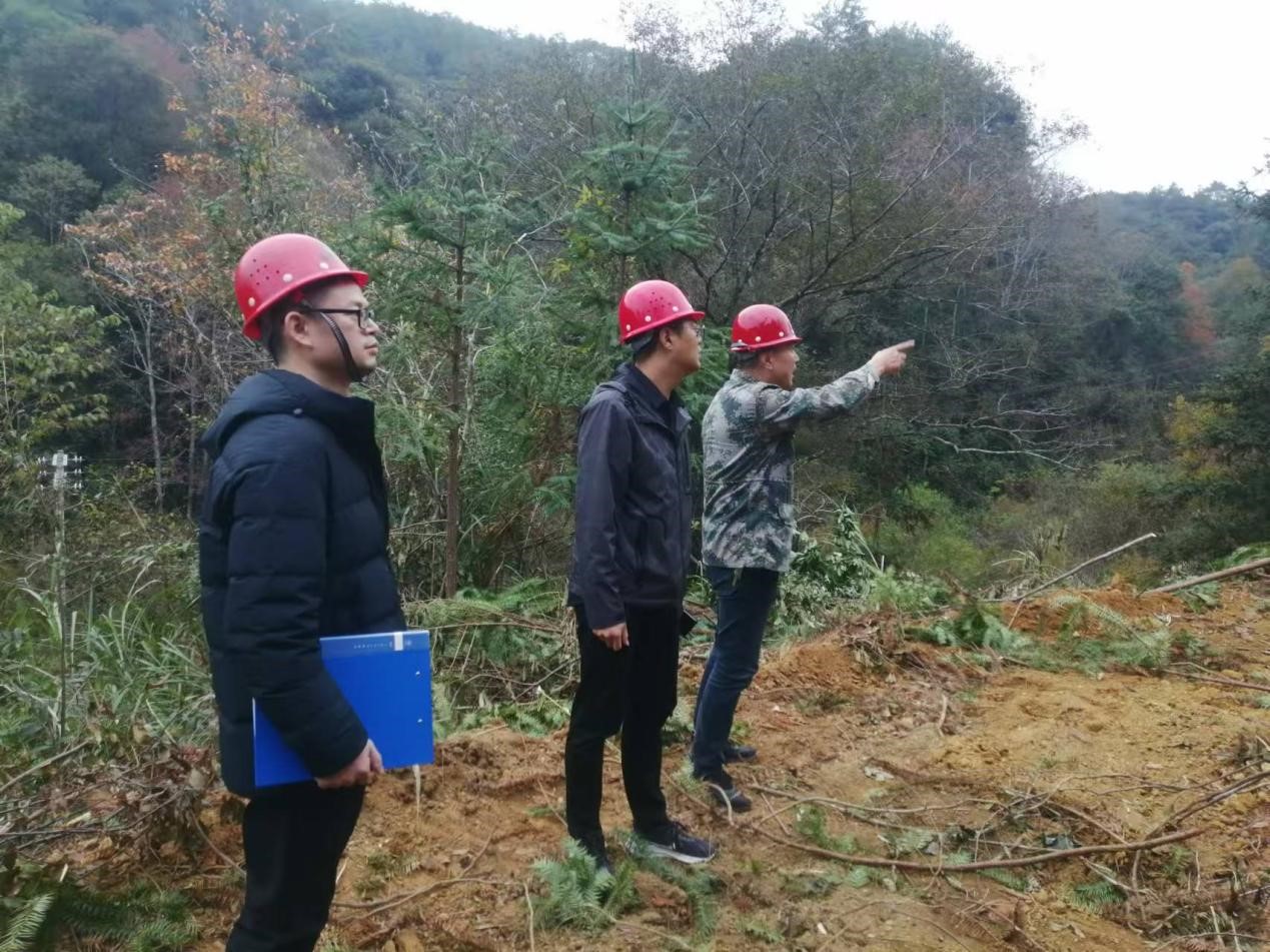 全面強化安全責(zé)任，嚴(yán)守森林防火線——福建金森全力保障生產(chǎn)安全