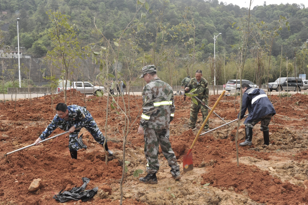 陽春三月雨，正是植樹好時節(jié)