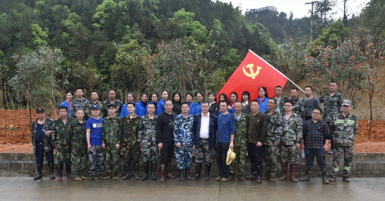 陽春三月雨，正是植樹好時節(jié)