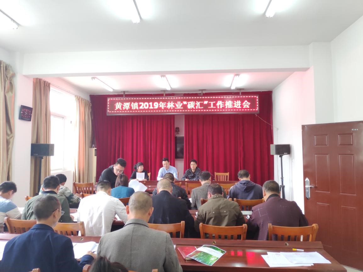 福建金森踐行”綠水青山就是金山銀山“ 推進(jìn)毛竹林經(jīng)營碳匯項(xiàng)目開發(fā) 福建金森踐行”綠水青山就是金山銀山“ 推進(jìn)毛竹林經(jīng)營碳匯項(xiàng)目開發(fā)