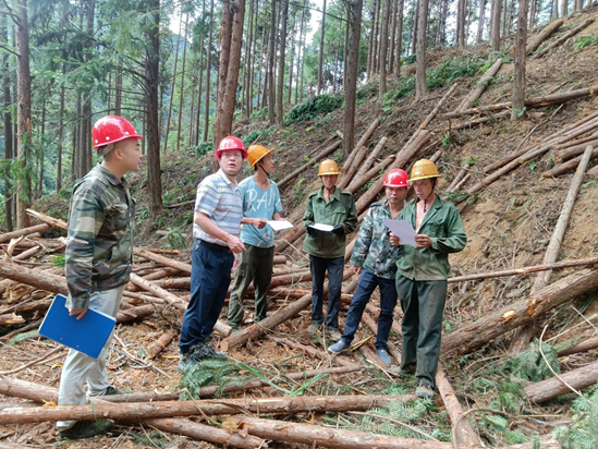 1627004242392005.png image.png