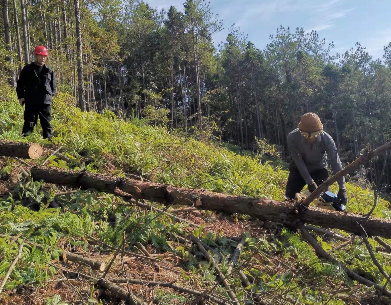 筑牢安全防線，守護一方平安 ——將溪分公司安全生產工作紀實