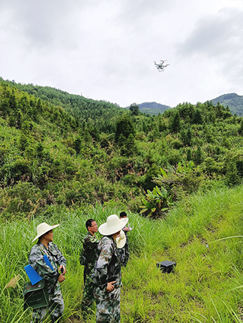 嚴把森林培育質(zhì)量關(guān)，譜寫資源培育新篇章