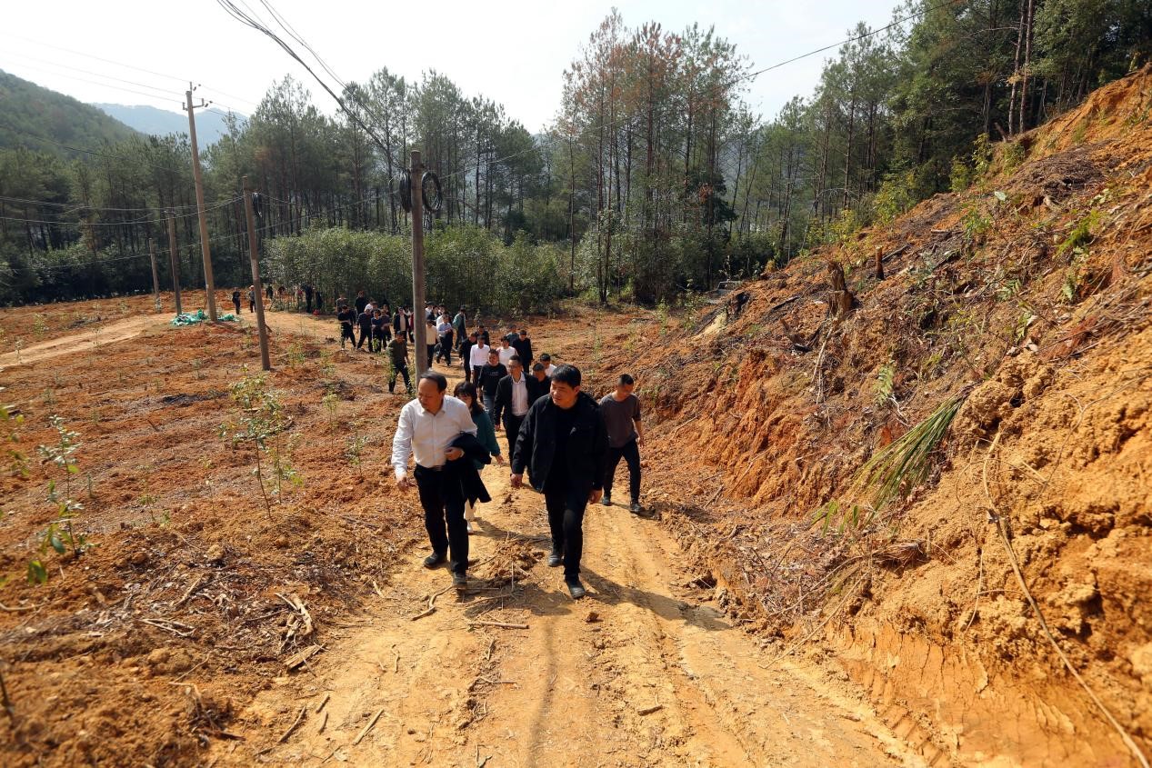 不負春光好，搶播萬畝林 ——將樂縣村企合作造林工作現(xiàn)場會在福建金森召開