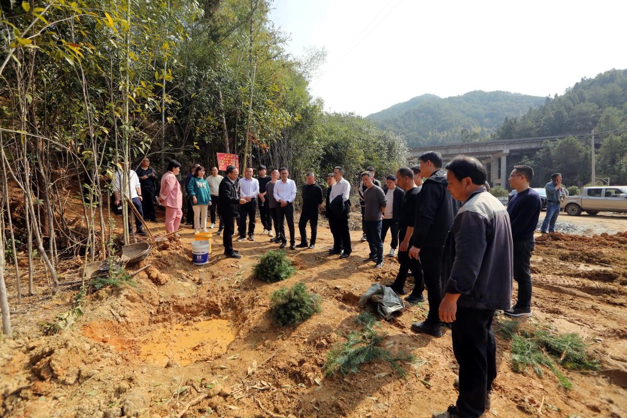 不負春光好，搶播萬畝林 ——將樂縣村企合作造林工作現(xiàn)場會在福建金森召開